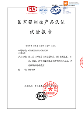 工程灯安全形式检验报告